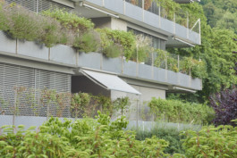  maurusfrei Architekten AG, maurusfrei, Architekten, Zürich, Chur, Team, Designer, Design, Wohnungsbau, architecture, architects, graphic, Grafik, jobs, Firma, signaletik, dokumentation, Verkaufsdokumentation, Innenausbau, Landschaft, Infrastruktur, infrastrukturbau, Überbauung, MFH, EFH, Maurus Frei, franco Cadruvi, this Egli, Girard Fetz, Reto Killer, SIA, FH Graubünden, Minergie