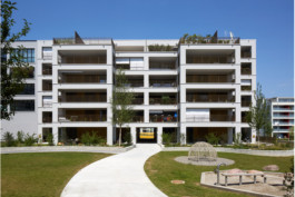  maurusfrei Architekten AG, maurusfrei, Architekten, Zürich, Chur, Team, Designer, Design, Wohnungsbau, architecture, architects, graphic, Grafik, jobs, Firma, signaletik, dokumentation, Verkaufsdokumentation, Innenausbau, Landschaft, Infrastruktur, infrastrukturbau, Überbauung, MFH, EFH, Maurus Frei, franco Cadruvi, this Egli, Girard Fetz, Reto Killer, SIA, FH Graubünden, Minergie