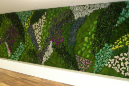  maurusfrei Architekten AG, maurusfrei, Architekten, Zürich, Chur, Team, Designer, Design, Wohnungsbau, architecture, architects, graphic, Grafik, jobs, Firma, signaletik, dokumentation, Verkaufsdokumentation, Innenausbau, Landschaft, Infrastruktur, infrastrukturbau, Überbauung, MFH, EFH, Maurus Frei, franco Cadruvi, this Egli, Girard Fetz, Reto Killer, SIA, FH Graubünden, Minergie