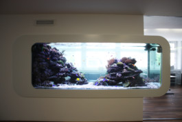  maurusfrei Architekten AG, maurusfrei, Architekten, Zürich, Chur, Team, Designer, Design, Wohnungsbau, architecture, architects, graphic, Grafik, jobs, Firma, signaletik, dokumentation, Verkaufsdokumentation, Innenausbau, Landschaft, Infrastruktur, infrastrukturbau, Überbauung, MFH, EFH, Maurus Frei, franco Cadruvi, this Egli, Girard Fetz, Reto Killer, SIA, FH Graubünden, Minergie