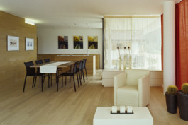  maurusfrei Architekten AG, maurusfrei, Architekten, Zürich, Chur, Team, Designer, Design, Wohnungsbau, architecture, architects, graphic, Grafik, jobs, Firma, signaletik, dokumentation, Verkaufsdokumentation, Innenausbau, Landschaft, Infrastruktur, infrastrukturbau, Überbauung, MFH, EFH, Maurus Frei, franco Cadruvi, this Egli, Girard Fetz, Reto Killer, SIA, FH Graubünden, Minergie