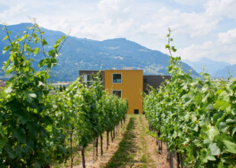  maurusfrei Architekten AG, maurusfrei, Architekten, Zürich, Chur, Team, Designer, Design, Wohnungsbau, architecture, architects, graphic, Grafik, jobs, Firma, signaletik, dokumentation, Verkaufsdokumentation, Innenausbau, Landschaft, Infrastruktur, infrastrukturbau, Überbauung, MFH, EFH, Maurus Frei, franco Cadruvi, this Egli, Girard Fetz, Reto Killer, SIA, FH Graubünden, Minergie