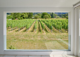  maurusfrei Architekten AG, maurusfrei, Architekten, Zürich, Chur, Team, Designer, Design, Wohnungsbau, architecture, architects, graphic, Grafik, jobs, Firma, signaletik, dokumentation, Verkaufsdokumentation, Innenausbau, Landschaft, Infrastruktur, infrastrukturbau, Überbauung, MFH, EFH, Maurus Frei, franco Cadruvi, this Egli, Girard Fetz, Reto Killer, SIA, FH Graubünden, Minergie